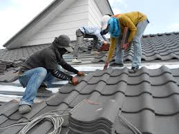 Best Roof Maintenance and Cleaning  in Indian River Estates, FL